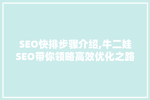SEO快排步骤介绍,牛二娃SEO带你领略高效优化之路