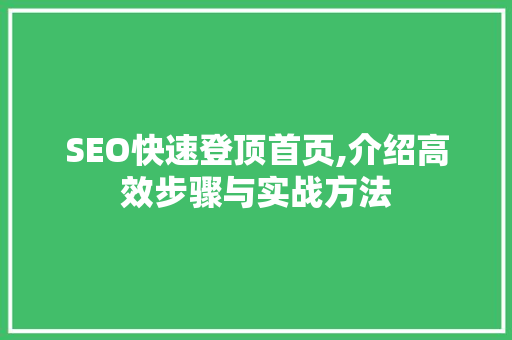 SEO快速登顶首页,介绍高效步骤与实战方法