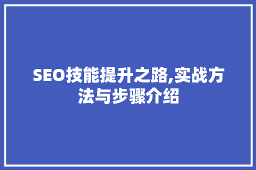 SEO技能提升之路,实战方法与步骤介绍