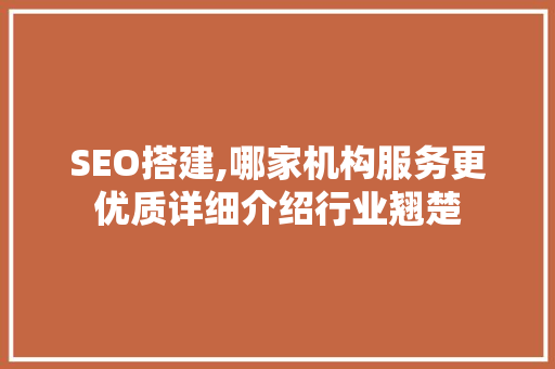 SEO搭建,哪家机构服务更优质详细介绍行业翘楚