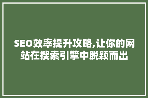 SEO效率提升攻略,让你的网站在搜索引擎中脱颖而出