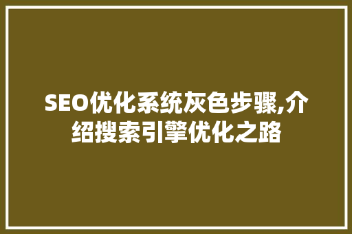 SEO优化系统灰色步骤,介绍搜索引擎优化之路