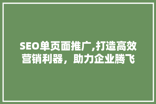 SEO单页面推广,打造高效营销利器，助力企业腾飞