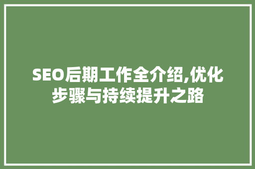 SEO后期工作全介绍,优化步骤与持续提升之路  第1张