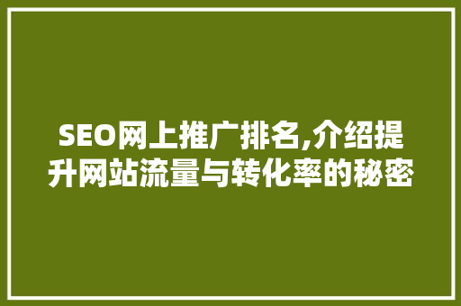 SEO网上推广排名,介绍提升网站流量与转化率的秘密武器