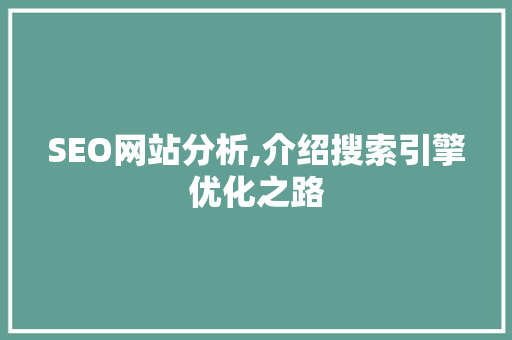 SEO网站分析,介绍搜索引擎优化之路