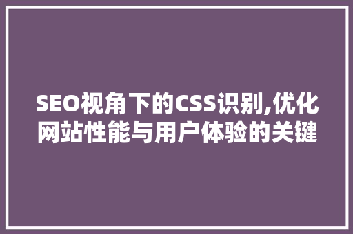 SEO视角下的CSS识别,优化网站性能与用户体验的关键