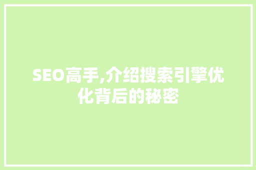 SEO高手,介绍搜索引擎优化背后的秘密