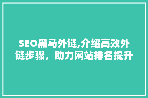 SEO黑马外链,介绍高效外链步骤，助力网站排名提升