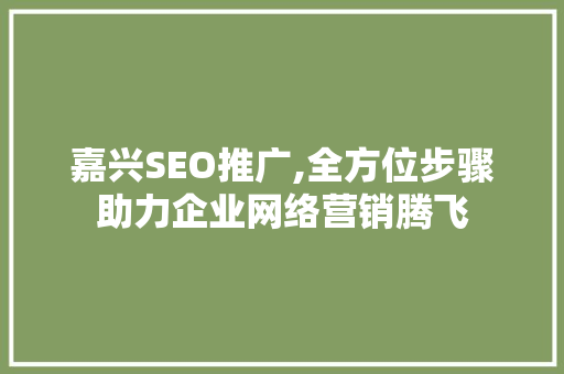 嘉兴SEO推广,全方位步骤助力企业网络营销腾飞