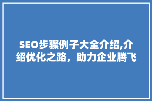 SEO步骤例子大全介绍,介绍优化之路，助力企业腾飞