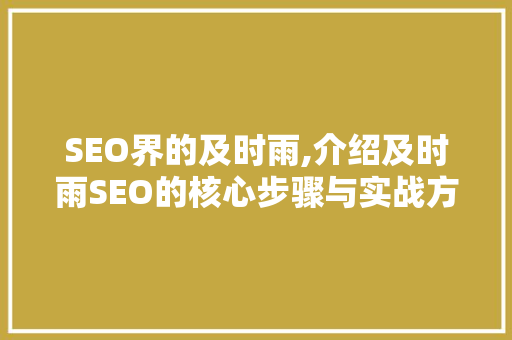 SEO界的及时雨,介绍及时雨SEO的核心步骤与实战方法