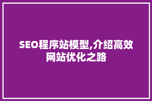SEO程序站模型,介绍高效网站优化之路