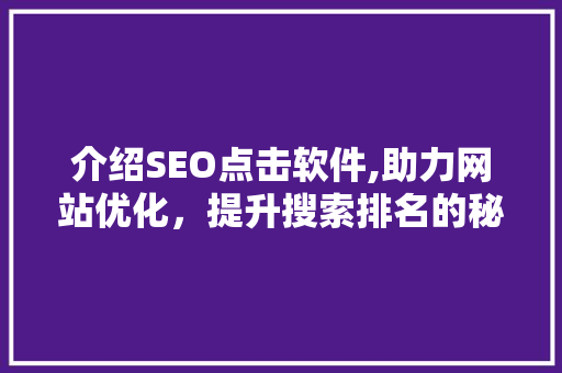 介绍SEO点击软件,助力网站优化，提升搜索排名的秘密武器