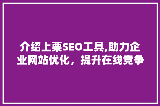 介绍上栗SEO工具,助力企业网站优化，提升在线竞争力
