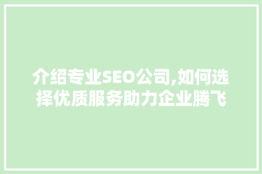 介绍专业SEO公司,如何选择优质服务助力企业腾飞
