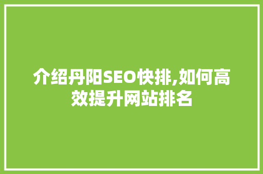 介绍丹阳SEO快排,如何高效提升网站排名