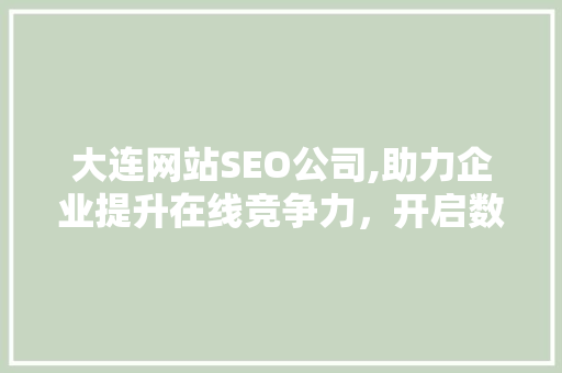 大连网站SEO公司,助力企业提升在线竞争力，开启数字化营销新篇章