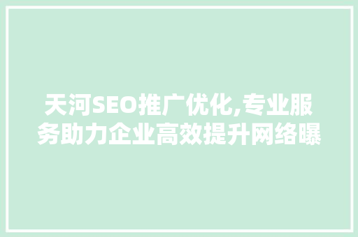 天河SEO推广优化,专业服务助力企业高效提升网络曝光度