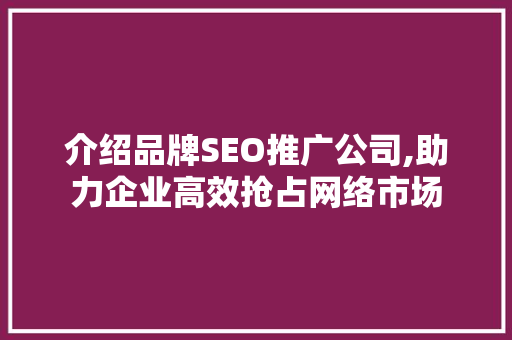 介绍品牌SEO推广公司,助力企业高效抢占网络市场