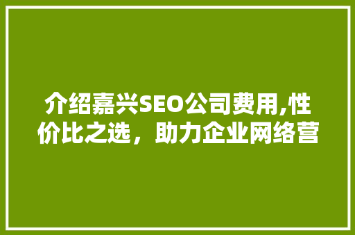 介绍嘉兴SEO公司费用,性价比之选，助力企业网络营销