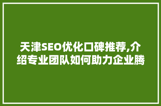天津SEO优化口碑推荐,介绍专业团队如何助力企业腾飞