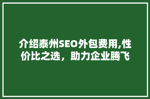 介绍泰州SEO外包费用,性价比之选，助力企业腾飞