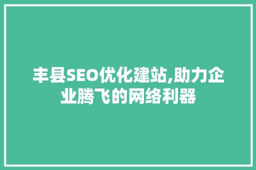 丰县SEO优化建站,助力企业腾飞的网络利器