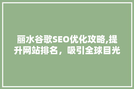 丽水谷歌SEO优化攻略,提升网站排名，吸引全球目光