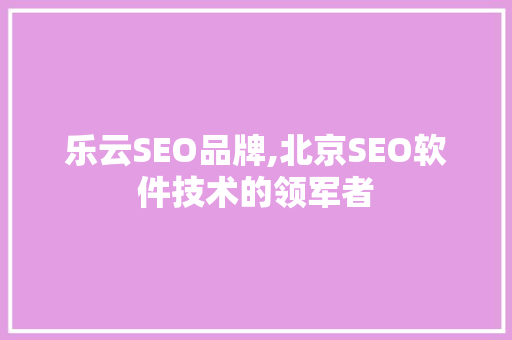 乐云SEO品牌,北京SEO软件技术的领军者