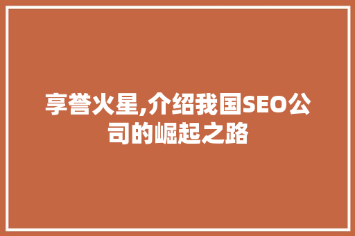 享誉火星,介绍我国SEO公司的崛起之路