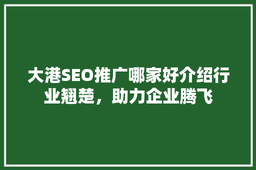 大港SEO推广哪家好介绍行业翘楚，助力企业腾飞