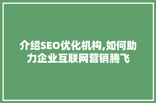 介绍SEO优化机构,如何助力企业互联网营销腾飞