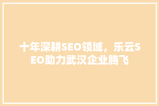 十年深耕SEO领域，乐云SEO助力武汉企业腾飞  第1张