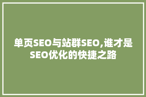 单页SEO与站群SEO,谁才是SEO优化的快捷之路  第1张