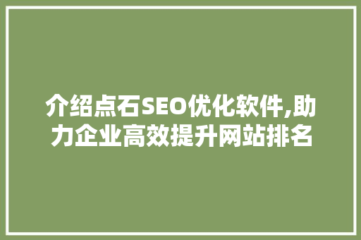 介绍点石SEO优化软件,助力企业高效提升网站排名