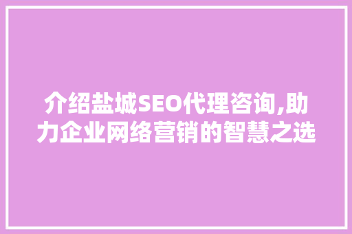 介绍盐城SEO代理咨询,助力企业网络营销的智慧之选