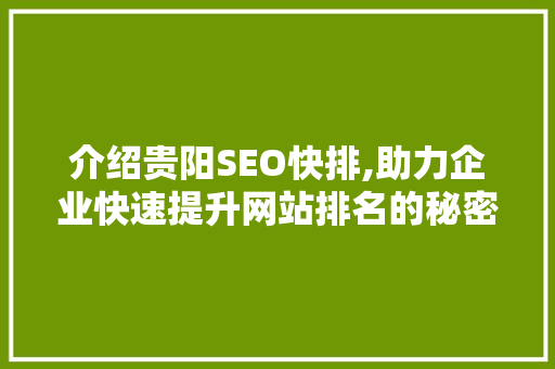 介绍贵阳SEO快排,助力企业快速提升网站排名的秘密武器