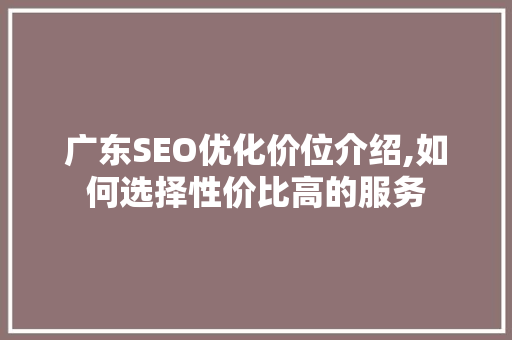 广东SEO优化价位介绍,如何选择性价比高的服务