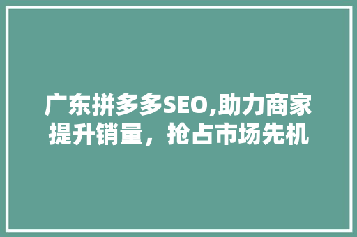 广东拼多多SEO,助力商家提升销量，抢占市场先机