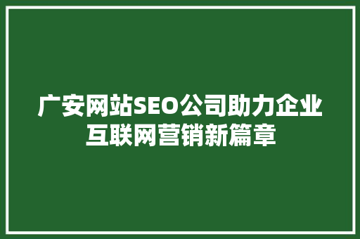 广安网站SEO公司助力企业互联网营销新篇章