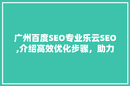 广州百度SEO专业乐云SEO,介绍高效优化步骤，助力企业腾飞