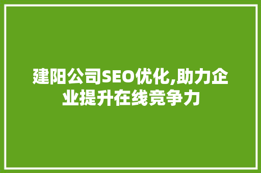 建阳公司SEO优化,助力企业提升在线竞争力