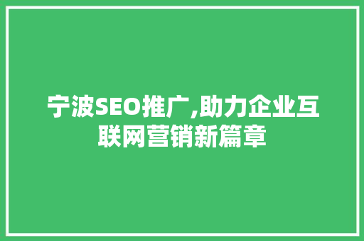 宁波SEO推广,助力企业互联网营销新篇章
