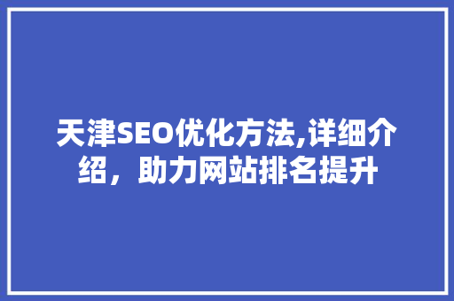 天津SEO优化方法,详细介绍，助力网站排名提升