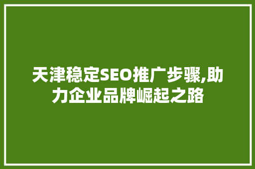 天津稳定SEO推广步骤,助力企业品牌崛起之路