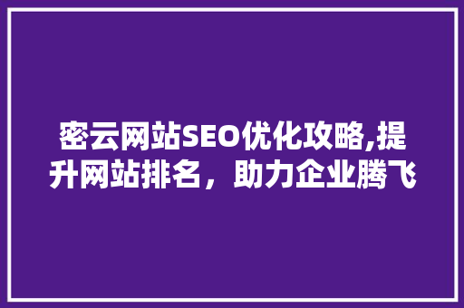 密云网站SEO优化攻略,提升网站排名，助力企业腾飞