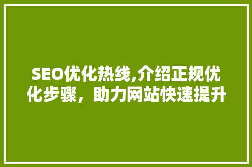 SEO优化热线,介绍正规优化步骤，助力网站快速提升排名
