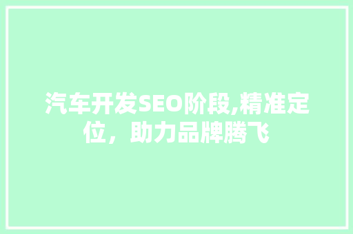 汽车开发SEO阶段,精准定位，助力品牌腾飞