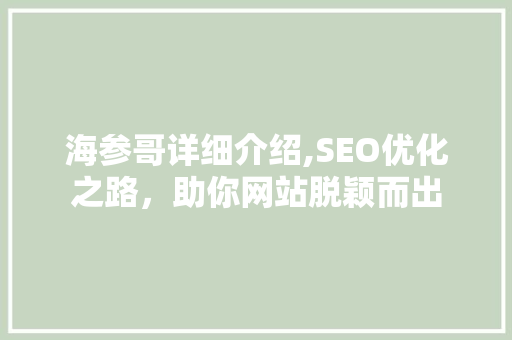 海参哥详细介绍,SEO优化之路，助你网站脱颖而出